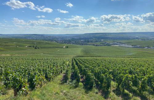 Les bulles agéennes - Foto 13