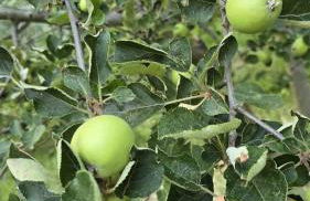 Villa del Poggio - Foto 34