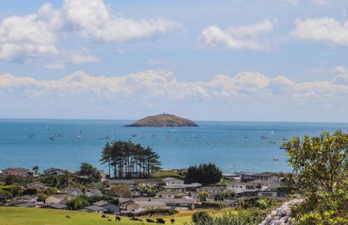 Pennant Igyn - Foto 28