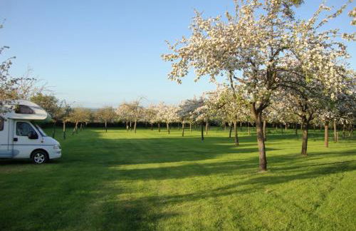 Orchard Farm Luxury Glamping and Campsite - Photo 24