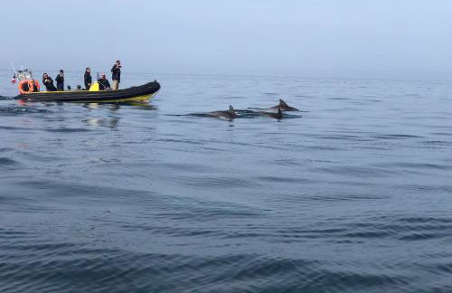 L' ALBATROS - 2 chambres - 5 personnes - Proximité de la plage - Foto 27