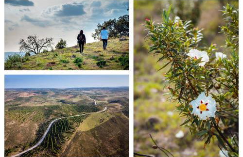 Recanto d'Aldeia - Foto 22