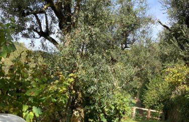 Quinta da Recochina - Foto 36