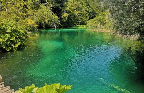 Magnus Lupus - Foto 6