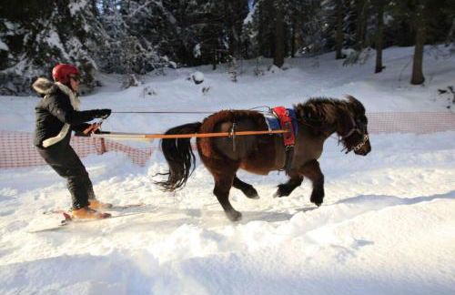 GREEN APPLE CARROZ Duplex WIFI Garage Balcon-Sud Vue Montagne - Photo 14