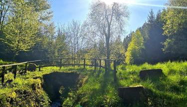 Haus Oberkirchen Nähe Winterberg bis 20 P - Foto 2