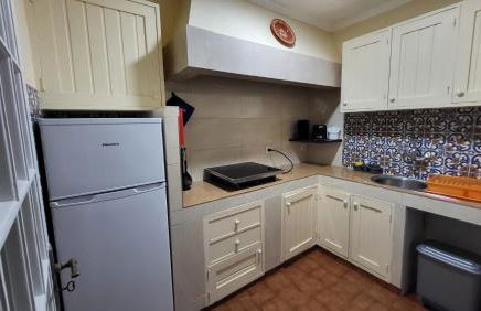 The Blue Hydrangea - Photo 8