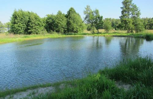 Domek Drewniany - Foto 46