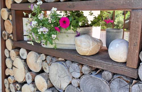 Ferienwohnungen Sternkopf - Photo 40