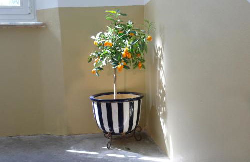 il 23 Holiday Home - Foto 43