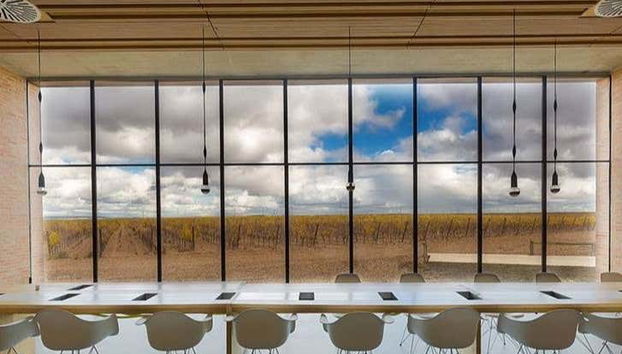 Exploring the winery