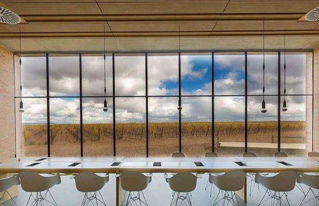 Visite des caves à vin de la Finca Montepedroso - Photo 2