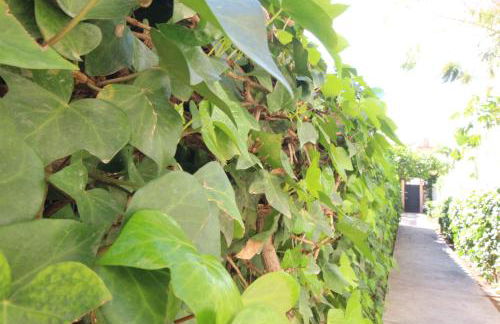 Del Parque Flats Pina Beach - Photo 32