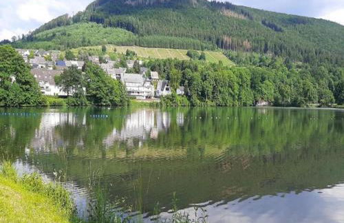 Großzügige Villa in Olsberg-Elpe - Foto 33