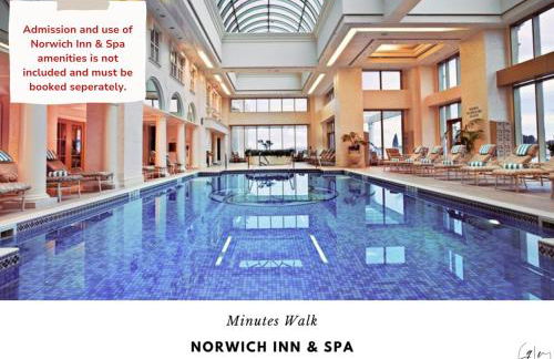 Luxury Villa- 3 mins to Mohegan- Fully Stocked with Fireplace- Jacuzzi, Saltwater Pools, Sauna - Foto 20