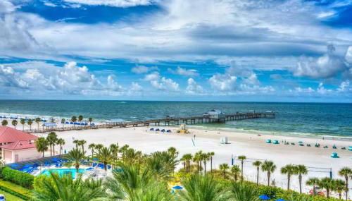 Clearwater Beach Pelican 2 - Photo 1