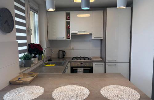 Ekskluzywny Apartament Joanna w centrum Bochni - Foto 5