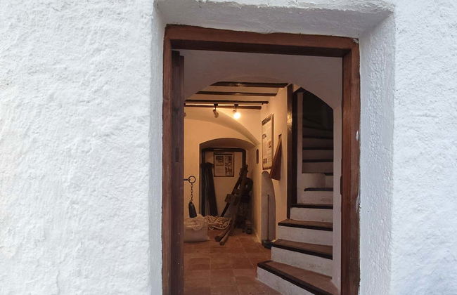 El Romeral Guided Tour - Photo 6