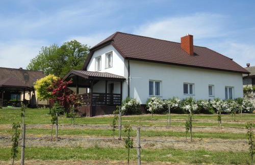 Owocowy Raj Nad Zalewem - Photo 14