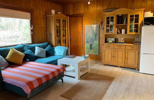 Ferienhaus Waldeule - Foto 13