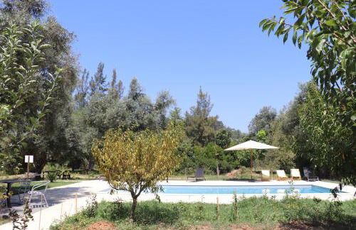 Acquavilla - Foto 15