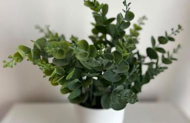 Maison Capucine - Foto 16