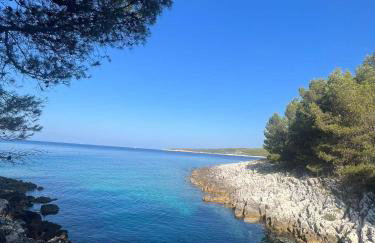 Apartmaji Valentina - Foto 49