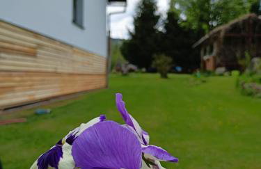 Smrek Sokolec Agroturystyka - Foto 10