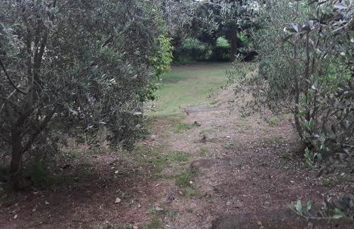 Agriturismo Il Sentiero - Foto 33