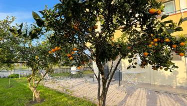 Casa Vacanze Paradise - Foto 5