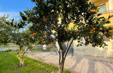 Casa Vacanze Paradise - Photo 5