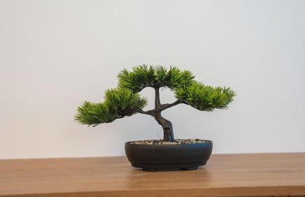 Modern 1BR - Parking Included -Sleeps 6 - Foto 17