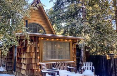 Wildland Zen Den Tiny House Retreat with Fireplace Grill AC Hammock Record Player Musical Instruments Pets OK - Foto 36