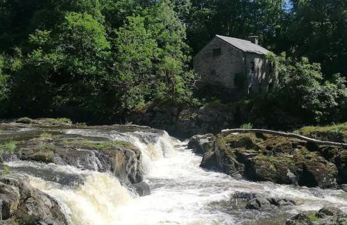 Cottage by the river in Cenarth with seasonal fishing and Wifi - Foto 8
