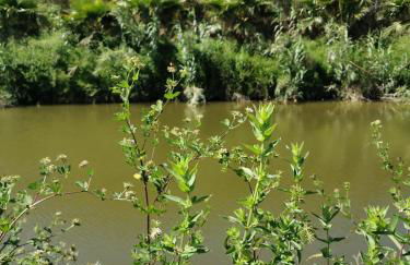 Azienda Agrituristica Baglio Carta - Foto 76