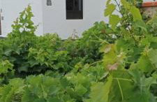 Casa Rinaifi - Foto 14