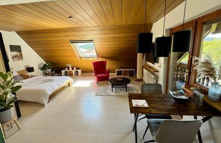 Pension Schmidt - Wipfelblick - Voll ausgestattetes Loft Apartment - Foto 2