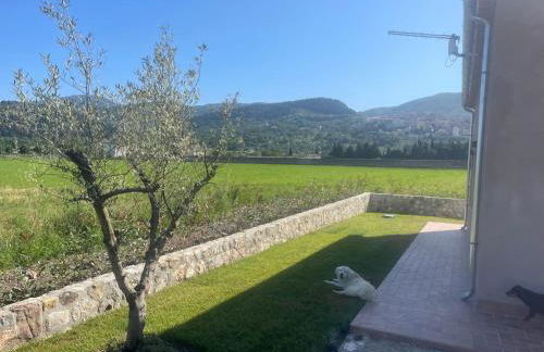 Il Rifugio Del Certosino - Foto 21