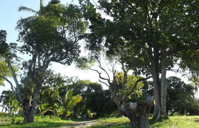 Hotel Fazenda Recanto - Foto 65