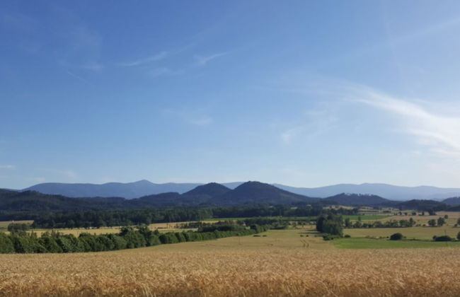 Spacious Authentic Polish Farmhouse in a Beautiful Landscape - Photo 17