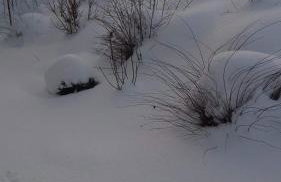 Staś -przy szkole nr 3 w Skawie - Foto 10
