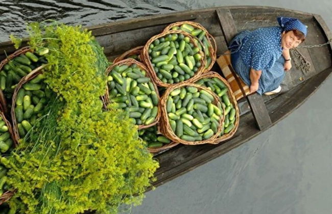 Apartment SL Lounge, Luebben - Foto 23