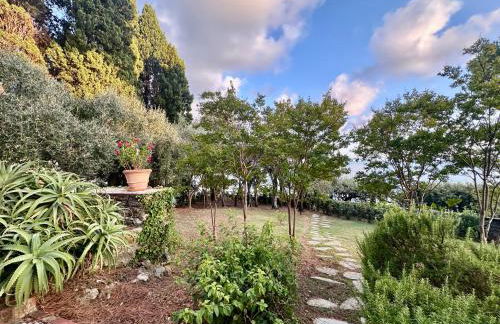 Giardino in villa Margherita - Foto 67