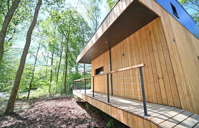 Lodge in Oignies Forest With Eco Design - Foto 21
