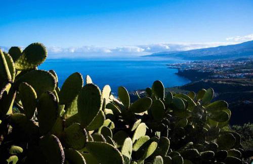 CASAS EN FINCA ECOLÓGICA LA ESPIRAL, NATURALEZA, CALMA Y VISTAS al MAR, - Foto 53