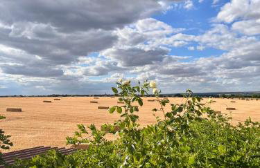 La Maisonnette de Chevannes - Foto 2