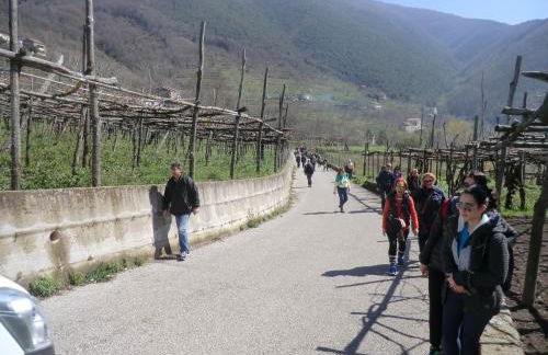 Agriturismo Mare e Monti - Foto 84