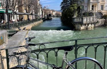 A l'ombre des oliviers - Photo 16