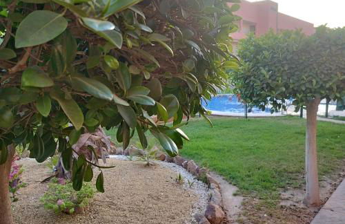 Bajo Bora Palm, Piscina Privada Climatizable, 150m playa - Foto 38