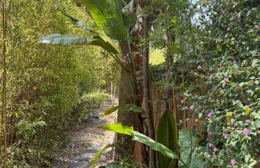 Villa de cine piscina barbacoa vista mar - Photo 37